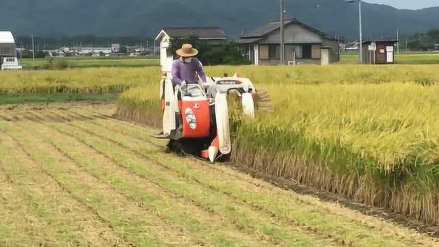 日本发明小型收割机,一天20亩,17000元收割打包一次成型