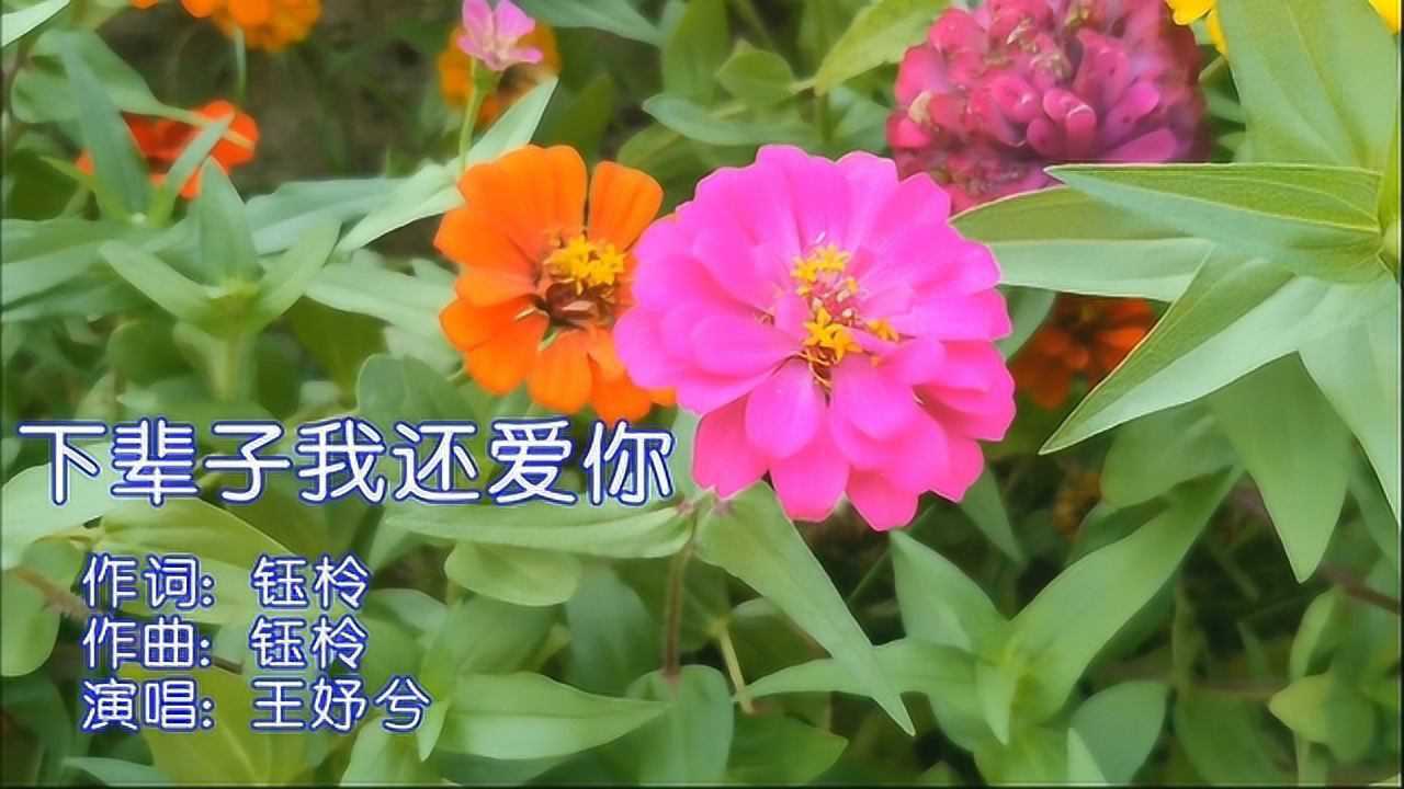 新歌一曲下辈子我还爱你好听极了