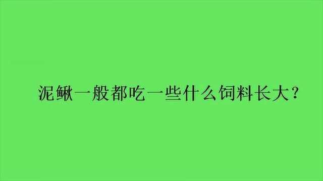 泥鳅一般都吃一些什么饲料长大?