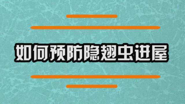 如何来预防隐翅虫进屋呢?