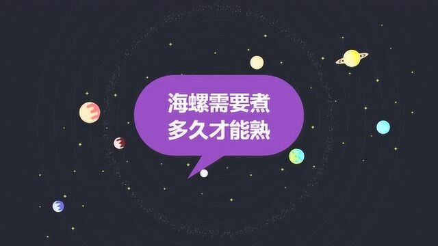 海螺需要煮多久才能熟