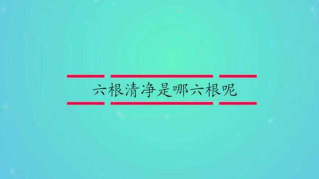 六根清净是哪六根呢?