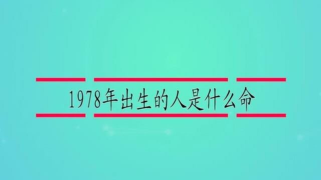 1978年出生的人是什么命