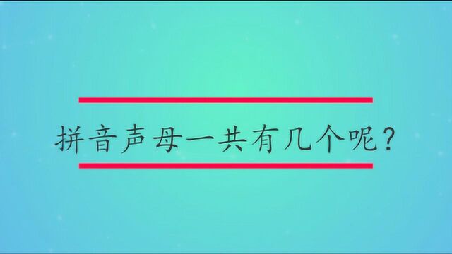 拼音声母一共有几个呢?