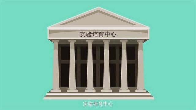 青岛大学招生宣传片——动画篇