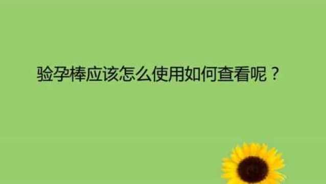 验孕棒应该怎么使用如何查看呢?