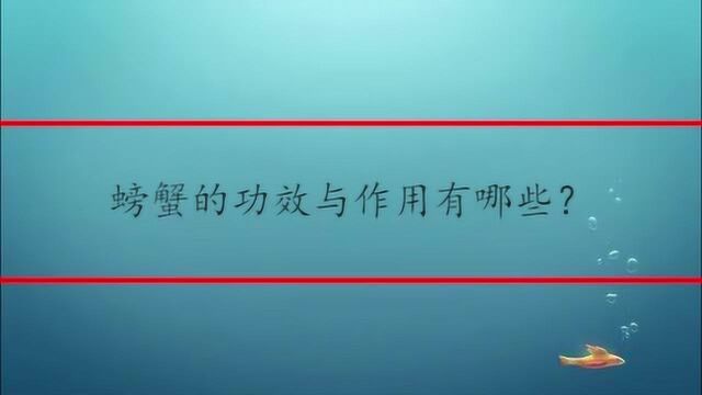 螃蟹的功效与作用有哪些?