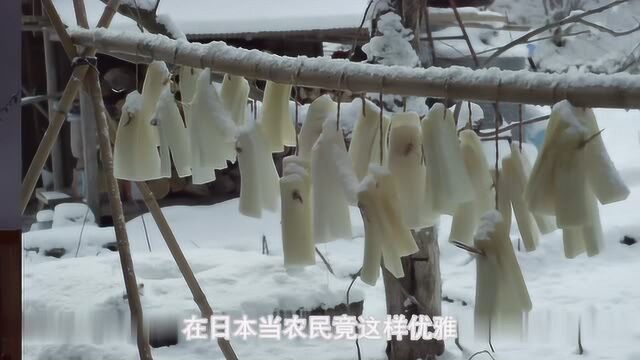 《小森林 冬春篇》里的冬季饮食,这就是“日子”最好解释