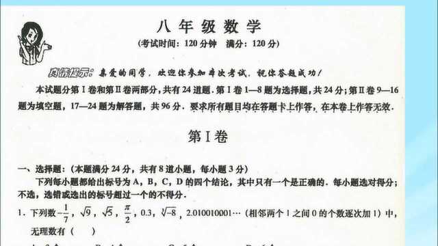 (培优卷)八年级上册期中考试模拟考试试题精讲