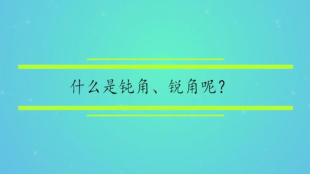 什么是钝角、锐角呢?