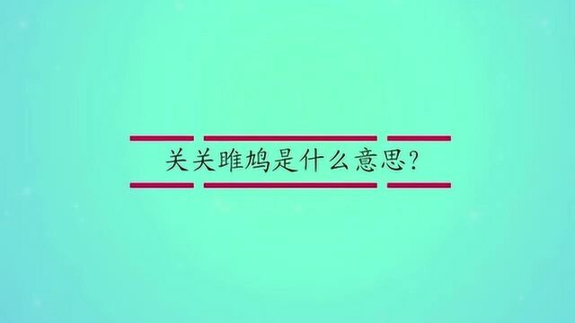 关关雎鸠是什么意思?