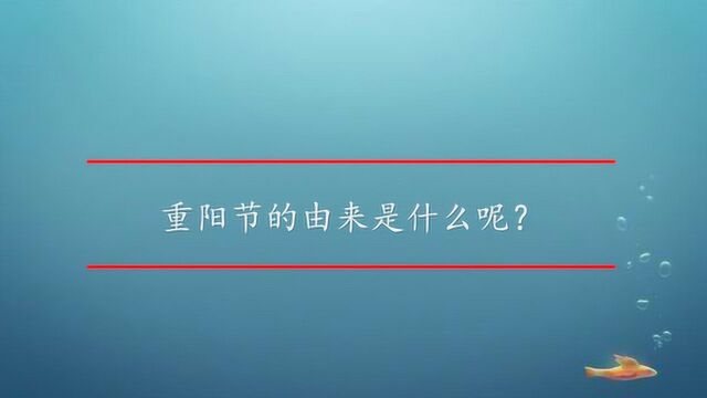 重阳节的由来是什么呢?