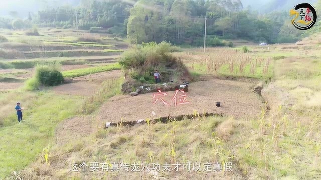 寻龙天下大伟带你去欣赏一个怪穴非常怪看得明白的绝对是高手