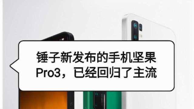 锤子新发布的手机坚果Pro3,已经回归了主流!