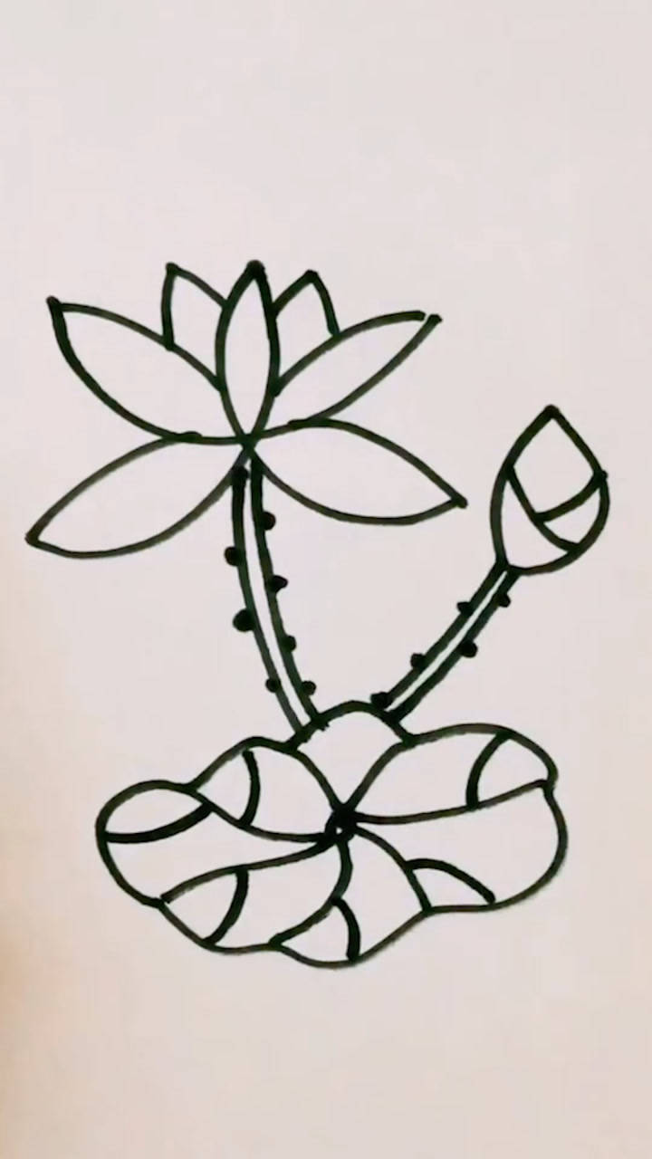 教你们怎样画荷花荷叶