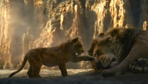 父亲被叔叔迫害身亡，小狮子长大后成功复仇，成为了狮子王！
