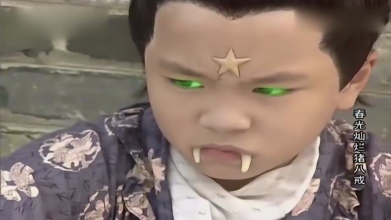 悲催的太白金星身中猫毒流落凡间没人管饿的落要吃小鸟