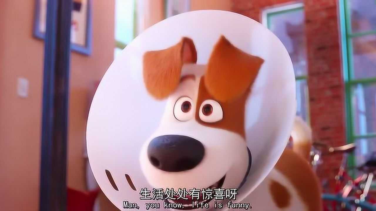 爱宠大机密2:麦克和大狗商量怎么样坐车