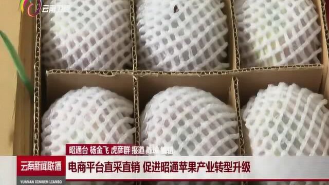 电商平台直采直销,促进昭通苹果产业转型升级