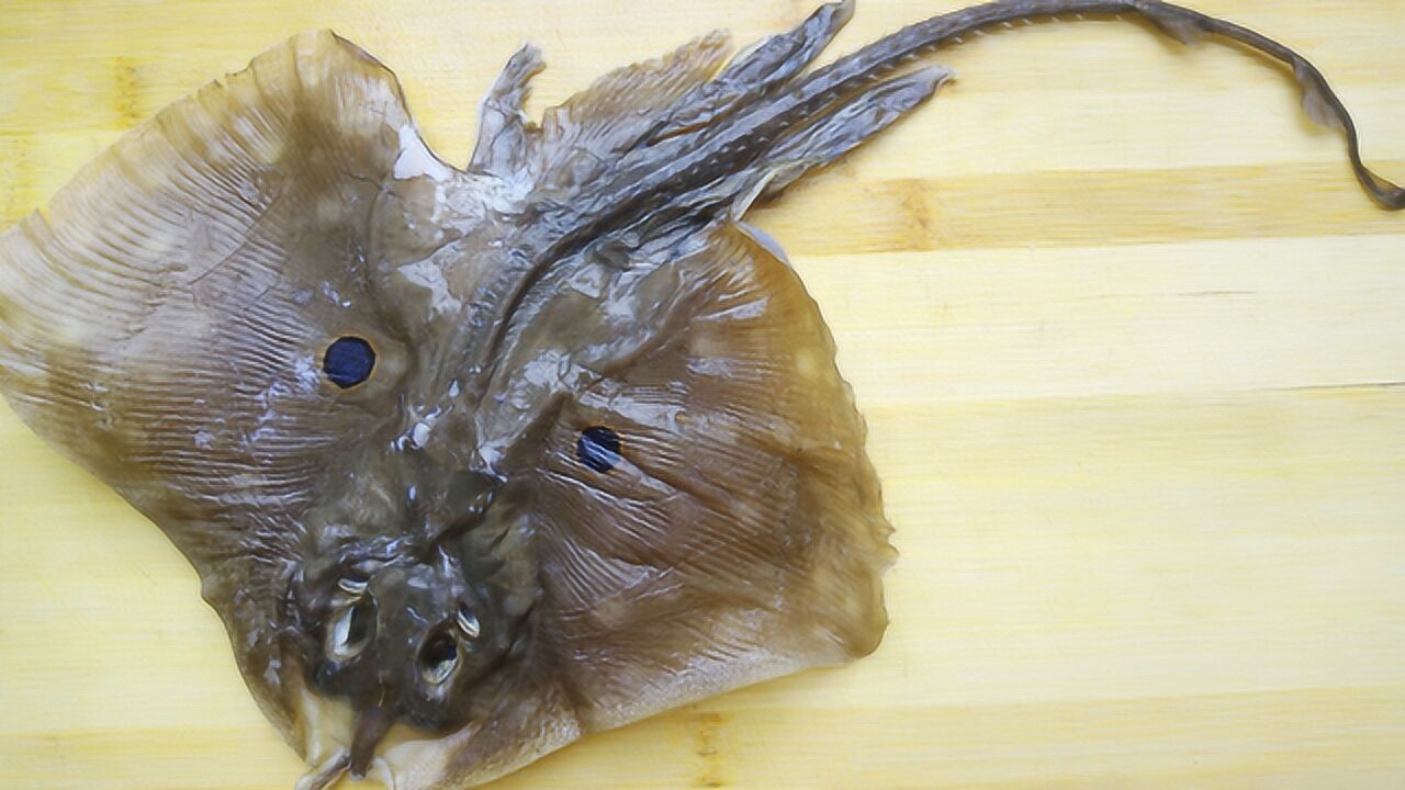 魔鬼鱼也就是鳐鱼名字很吓人但味道却是很不错的营养价值高