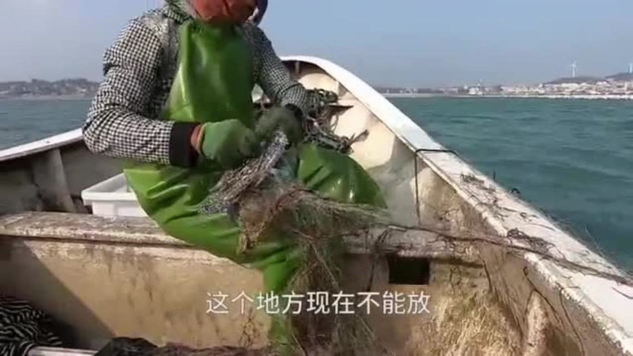 农村阿峰去赶海渔网上套住好多兰花蟹阿峰忙不过来了