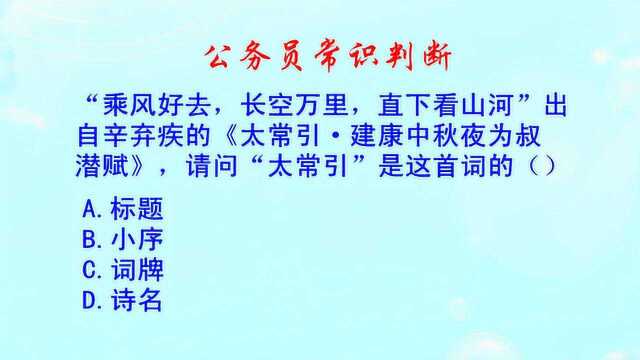 公务员常识判断,在词当中,“太常引”是词的什么