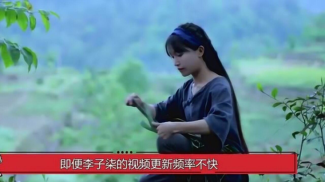 李子柒这段视频太牛，只有10分钟却耗时2年！看得不想放过每一帧_高清