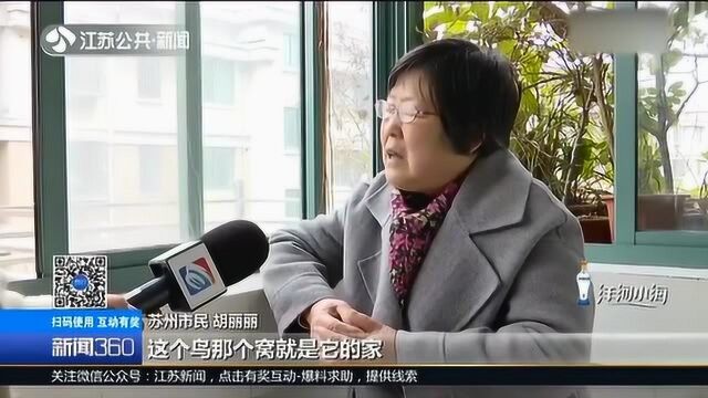 老租客租住七年!每次都生“双胞胎” 房东:我好开心!