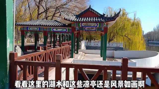 实拍内蒙古包头市青山区钢铁大街劳动公园,立冬以后的景色