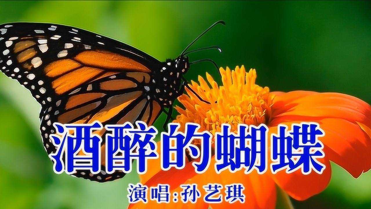dj歌曲酒醉的蝴蝶网络热播孙艺琪演唱太好听啦