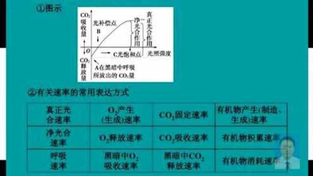 第三章 细胞的代谢 第十四节课