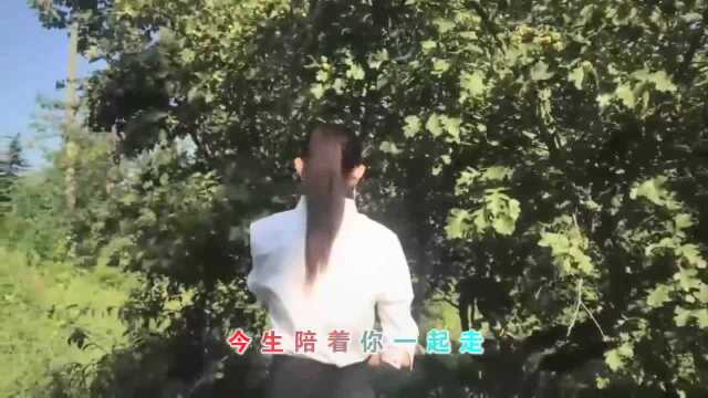 经典音乐,一首《今生陪你一起走》词美歌甜,感情真挚