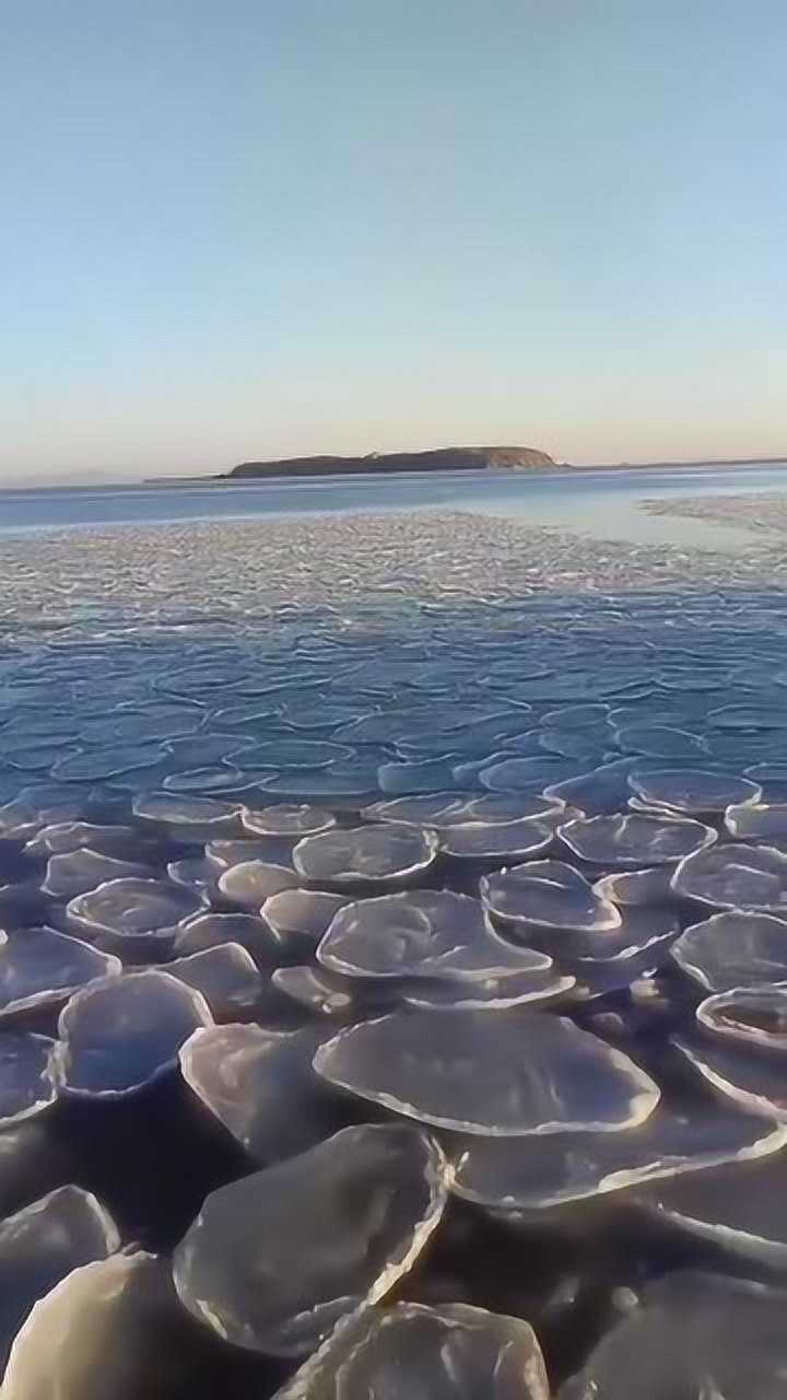 冰面上的冰形状奇特被太阳晒成圆圆的这难道不是土豆片