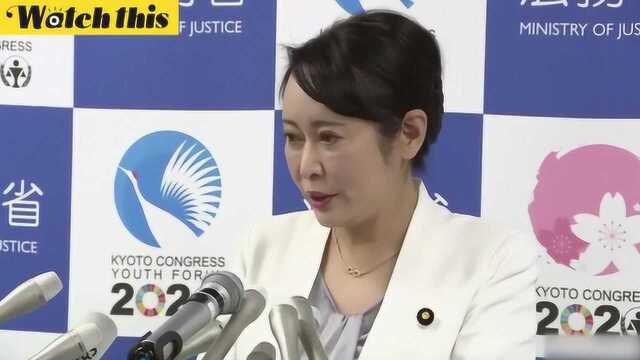 日本法务大臣谈戈恩出逃事件:违法手段私自出国是犯罪行为