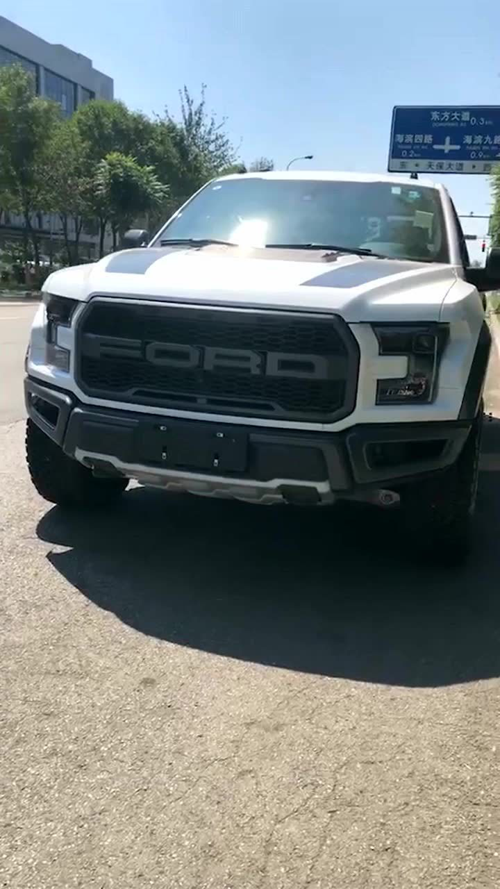 真正的福特猛禽