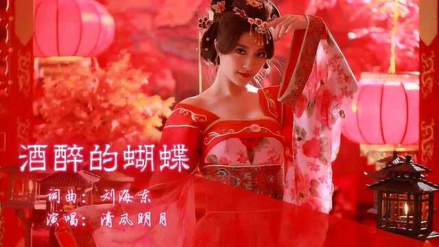 抖音最火歌曲《酒醉的蝴蝶》字幕完整版,一首非常好听的歌曲送给大家