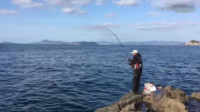 矶钓,水下大物横行,钓鱼人轻松中大鱼