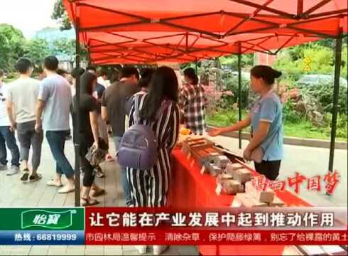 “两会”话民生:挖掘当地火山文化 让传统产业焕发光彩