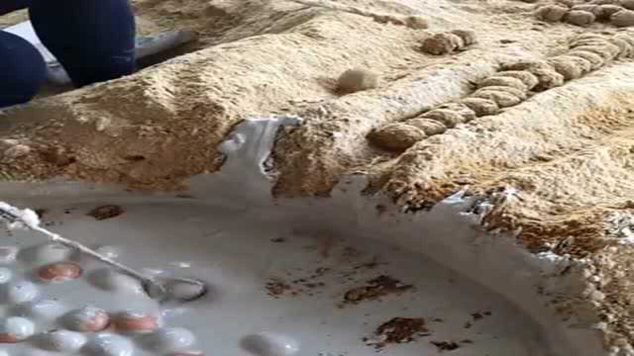 见识一下,这就是松花蛋的制作过程,我算是长见识了