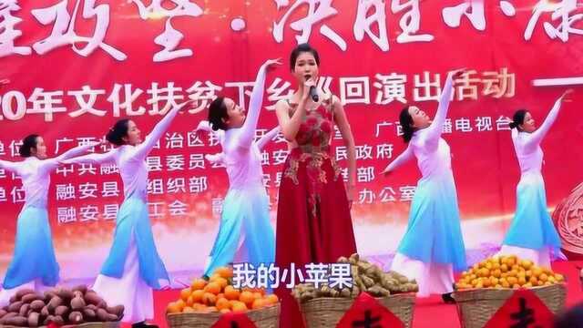 广西电视台巡回融安演出精彩歌舞