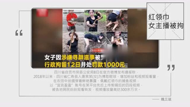 红领巾女主播被拘是因为什么,红领巾女主播是谁?