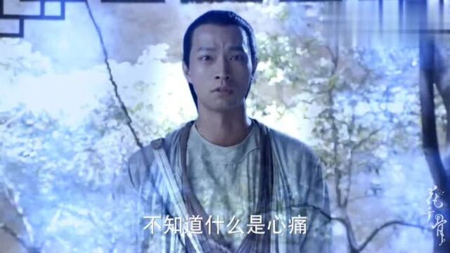 朔风留给霓漫天最后一段信息,冷酷无情的她终于动情了,为时已晚