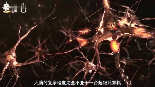 意识跟肉体是独立的?科学家研究量子纠缠,揭开意识之谜