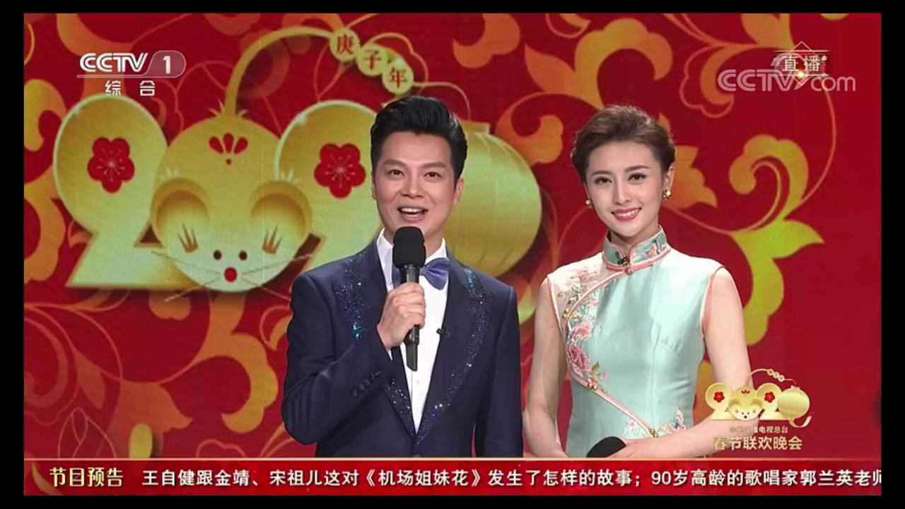 任鲁豫主持春晚