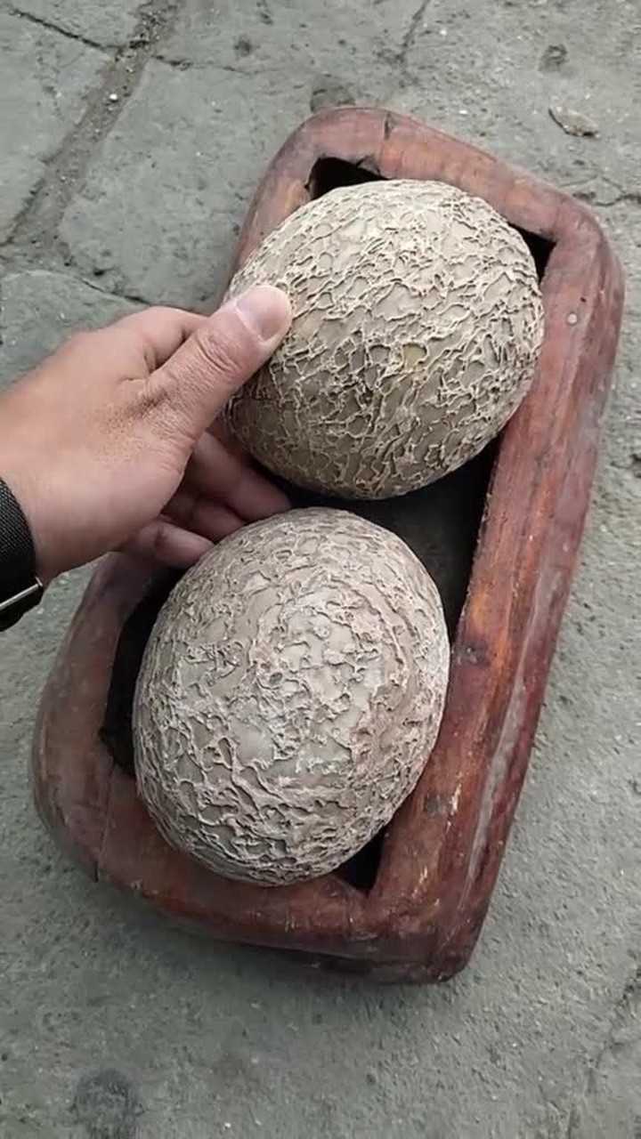 恐龙蛋,不知道里边是什么小东西?