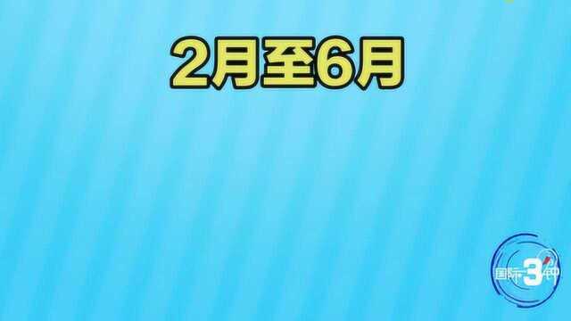 2020美国总统大选首战 共和党风景独好