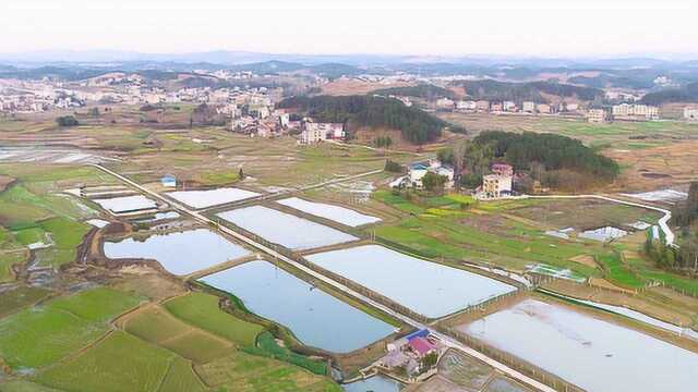 美丽乡村 | 湖南邵阳市洞口县谭家组无人机航拍