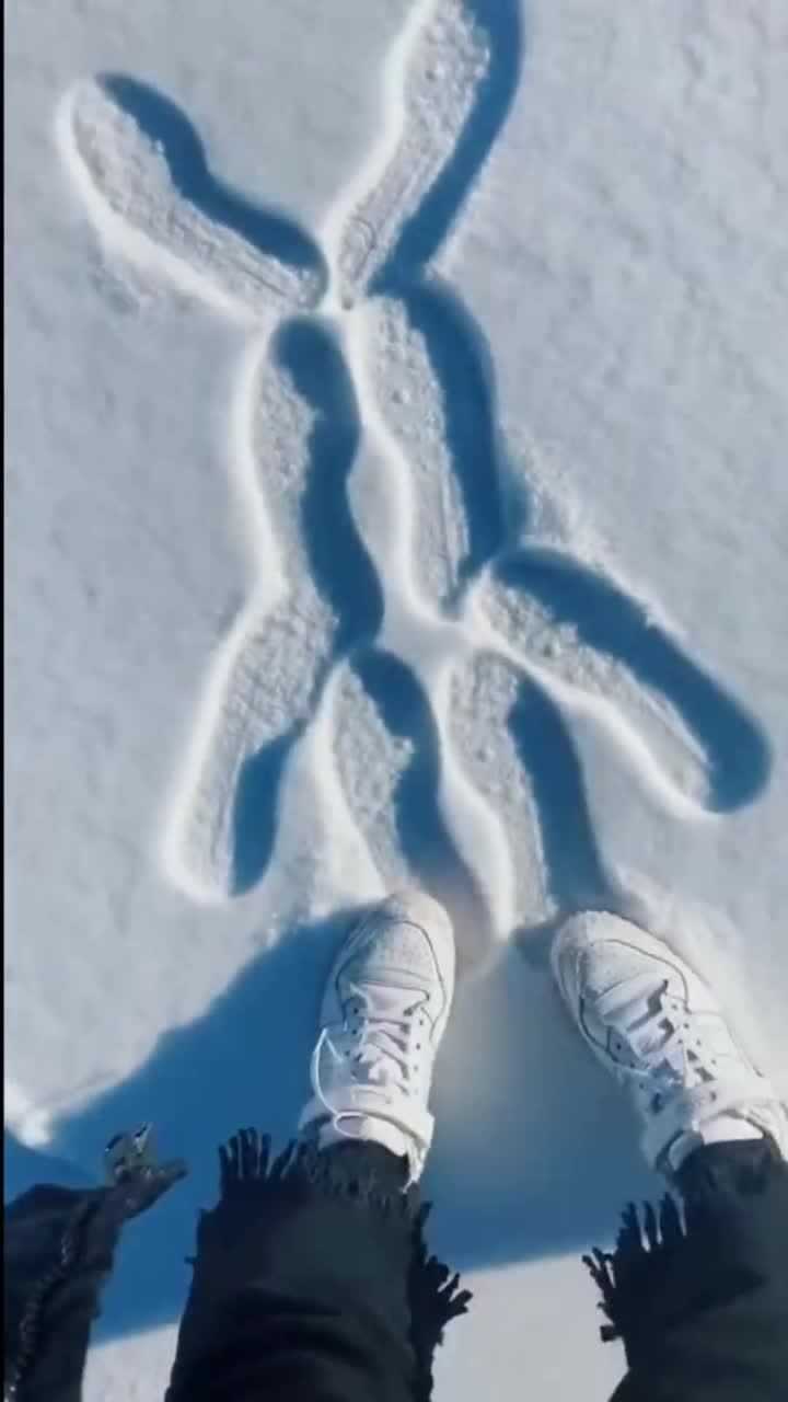 雪地里踩兔子脚印图片图片