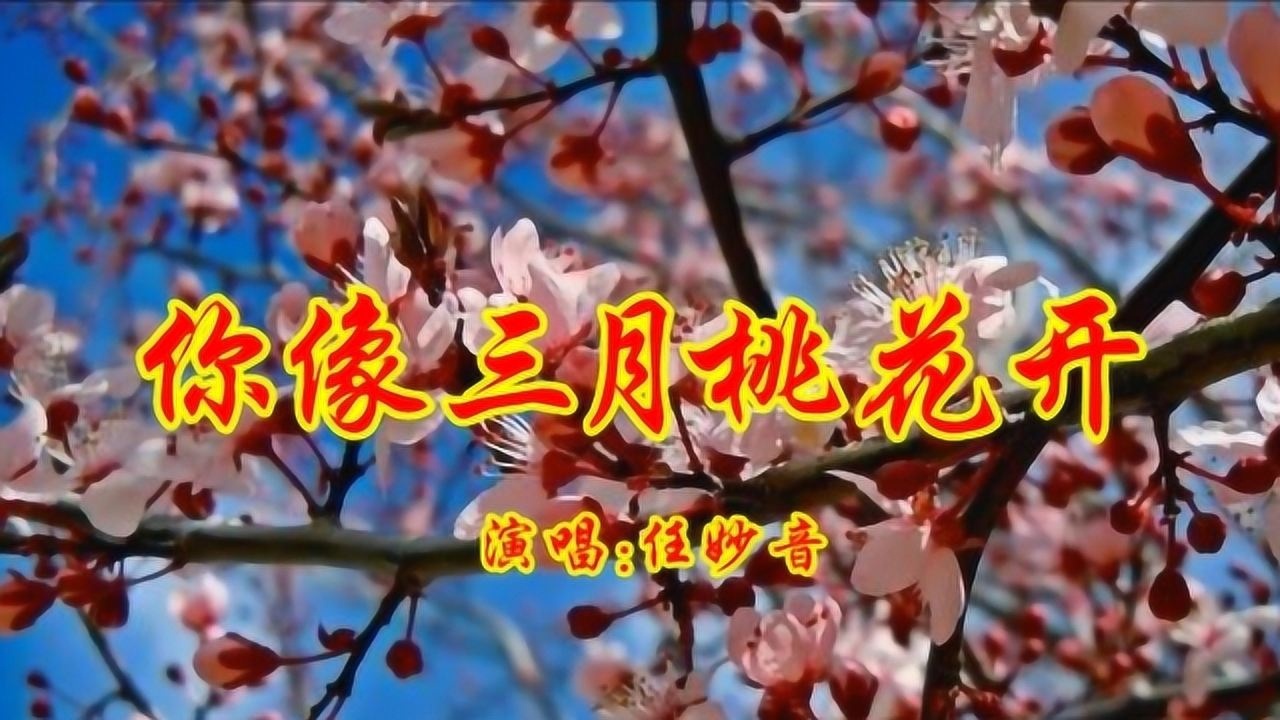 任妙音你像三月桃花开景美歌美好听醉人