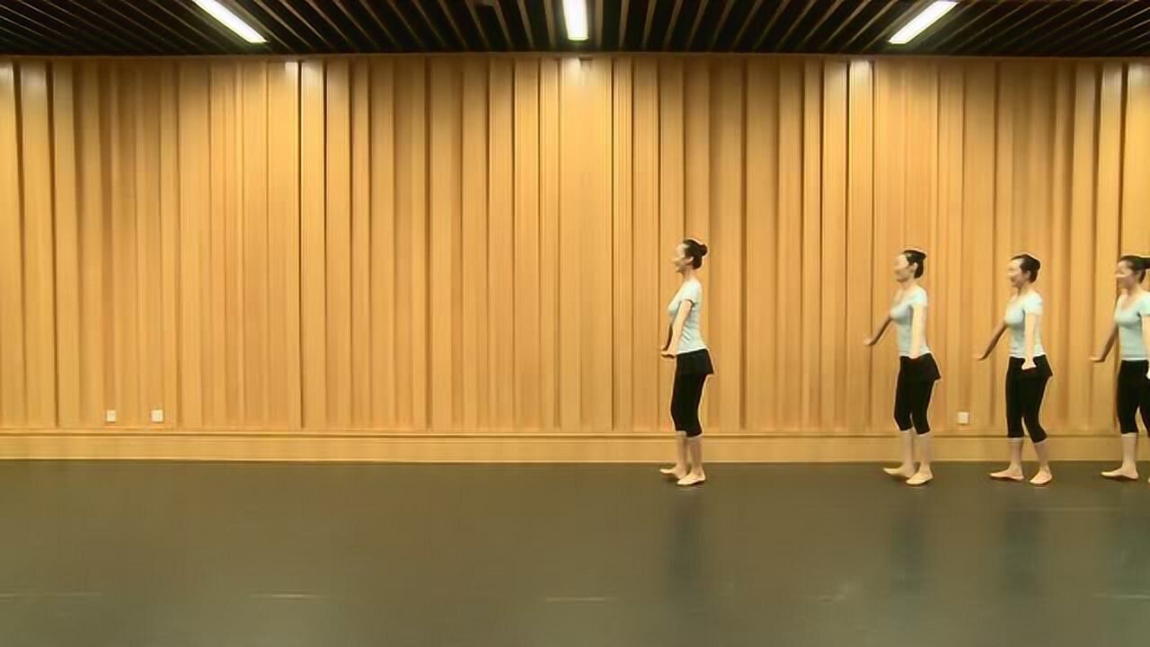 中国舞蹈家协会少儿舞蹈考级第五级03企鹅爸爸